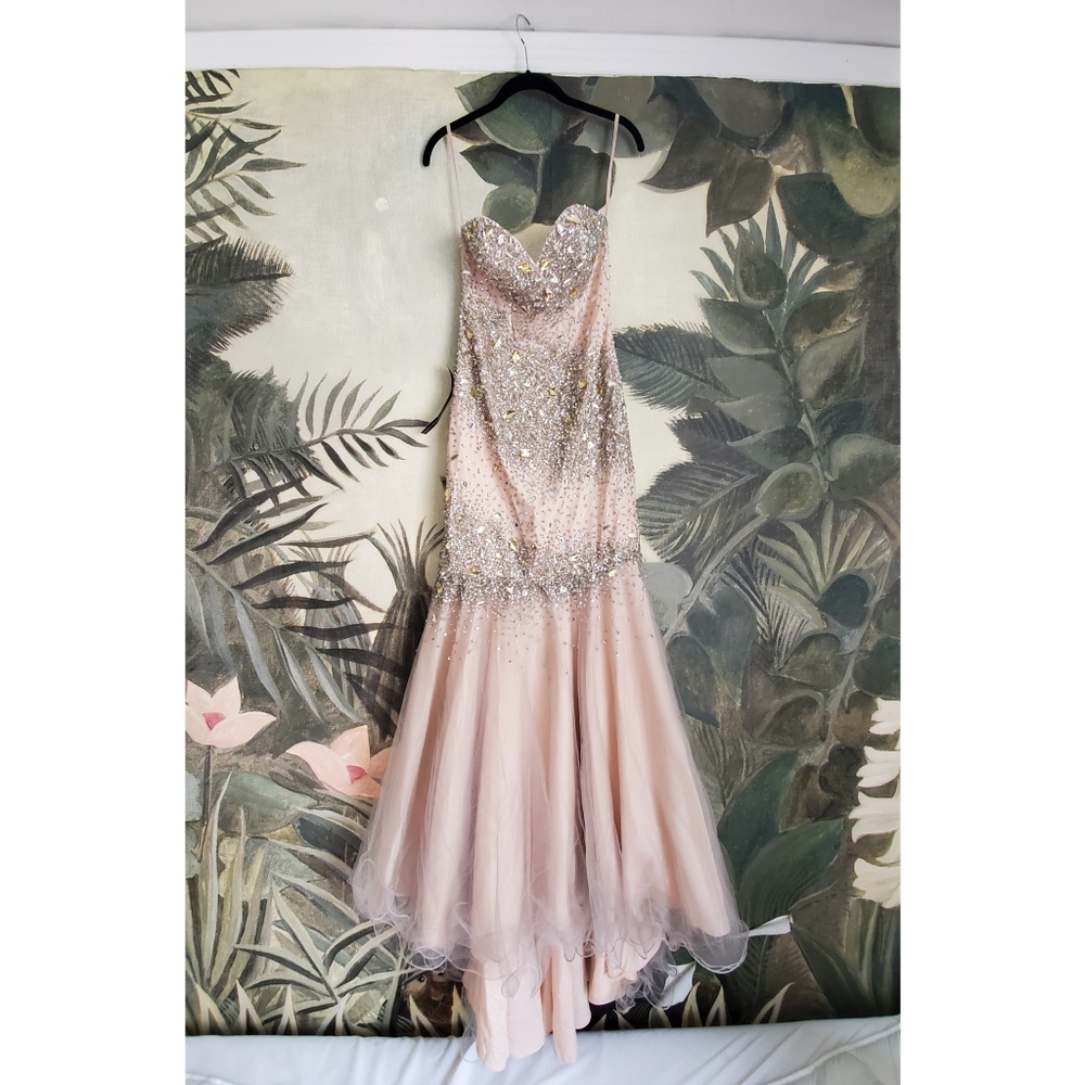 Strapless Cache Evening Prom Pagent Wedding Gown